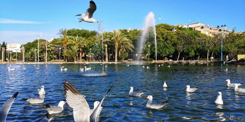 Torrevieja Experience Mar Azul 아파트 외부 사진
